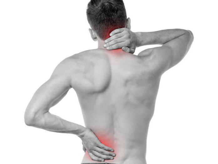 Gel properties against joint and back pain Frekosteel